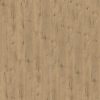 Andante 1104 Golden Oak